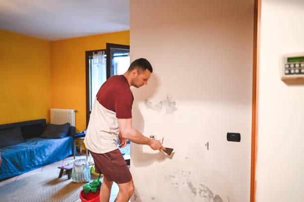 Best Mold Removal Company Near Me  in Robert Lee, TX